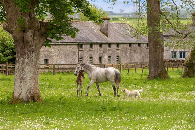 The Fortwilliam Estate (Lot 1), Glencairn, Lismore, County Waterford