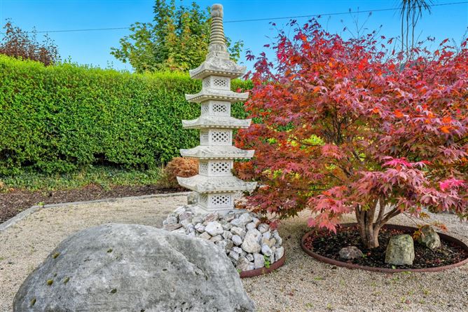 https://photos-a.propertyimages.ie/media/5/5/5/4958555/6b0bf246-51ea-4cc8-a512-34b199c22327_l.jpg