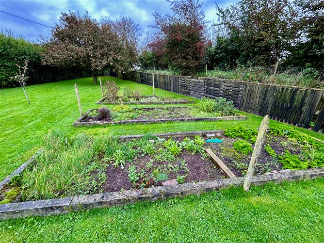 Cotts, Tomhaggard, Wexford