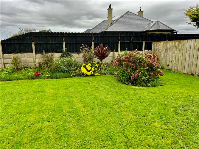 Cotts, Tomhaggard, Wexford