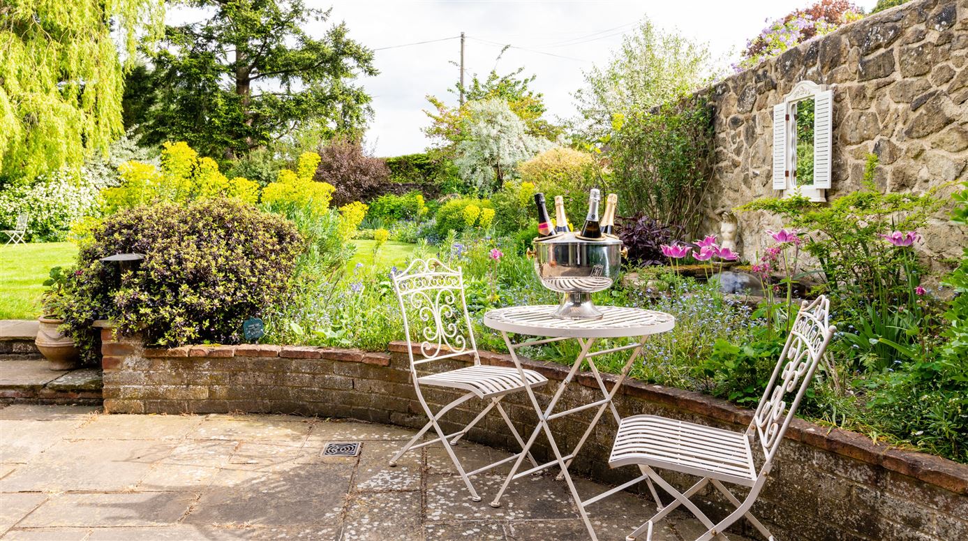 The Rose in Bloom,Westerham, Kent, United Kingdom