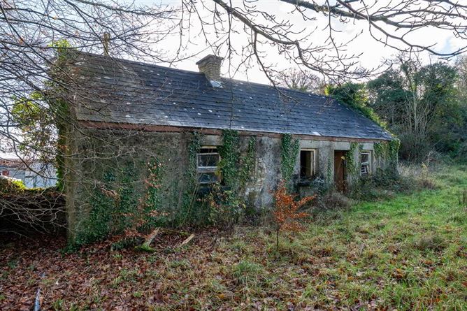 Ballinara, Castledaly, Moate, Westmeath