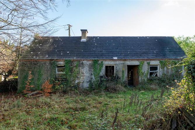 Ballinara, Castledaly, Moate, Westmeath