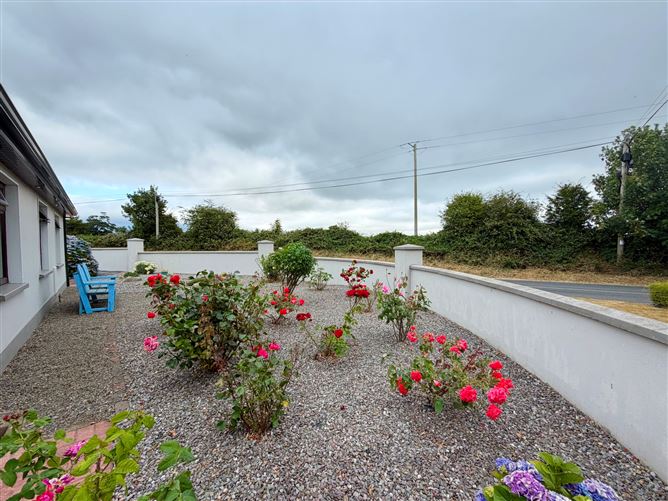 Photo 39 of 47 — Petestown, Carlingford, The Bush, Co. Louth, Carlingford, Louth