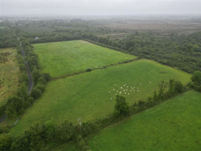 Cloondarah, Mount Talbot, Roscommon