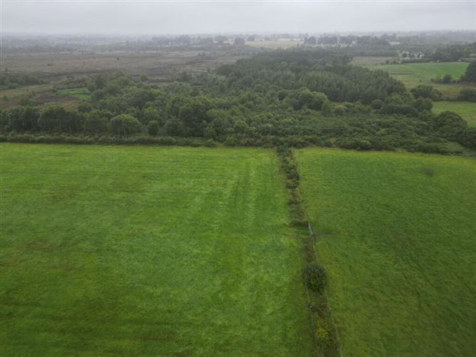 Cloondarah, Mount Talbot, Roscommon