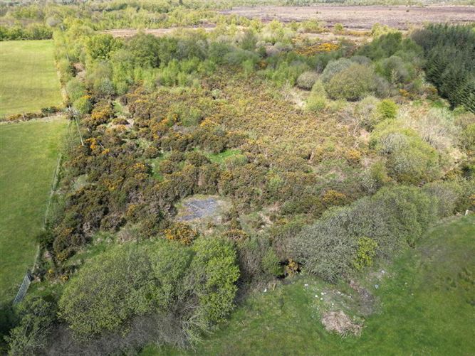 Cloondarah, Mount Talbot, Roscommon