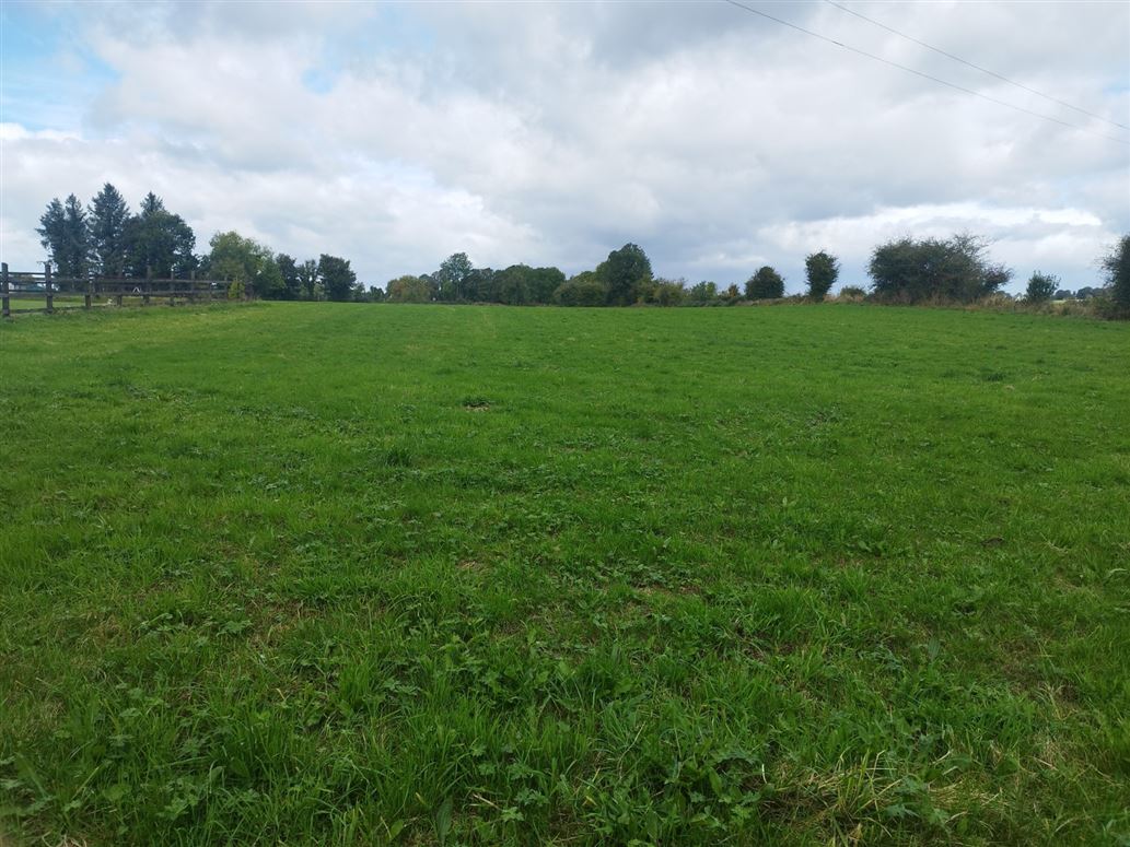 Knockane, Garrydoolis, Pallasgreen, Co.Limerick