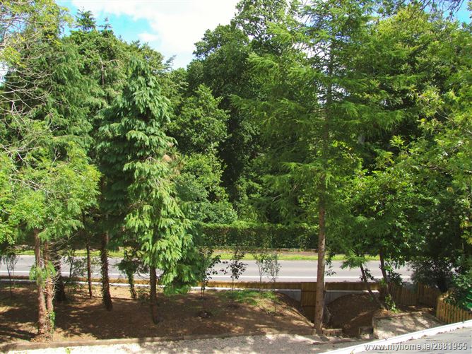 Pine Lodge, Ballinalea, Ashford, Wicklow