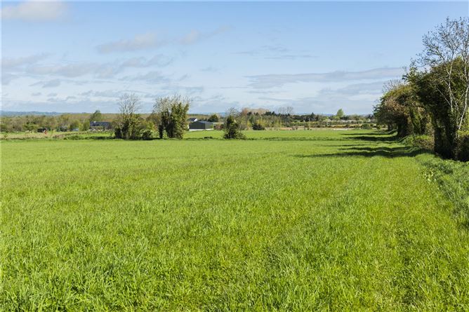 Barramaine, Surgalstown, Swords, Co. Dublin