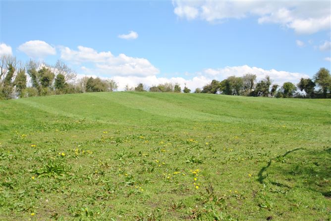Conicker, Roscrea, Co. Tipperary