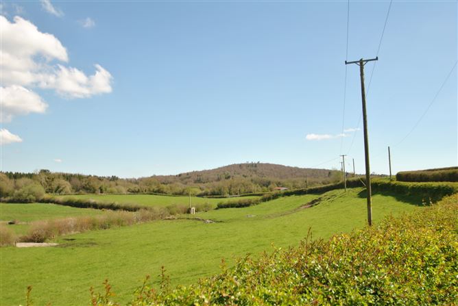 Conicker, Roscrea, Co. Tipperary