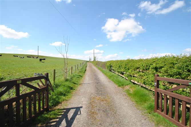 Conicker, Roscrea, Co. Tipperary