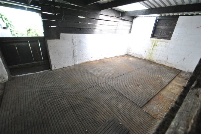 Conicker, Roscrea, Co. Tipperary