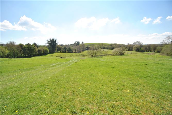 Conicker, Roscrea, Co. Tipperary