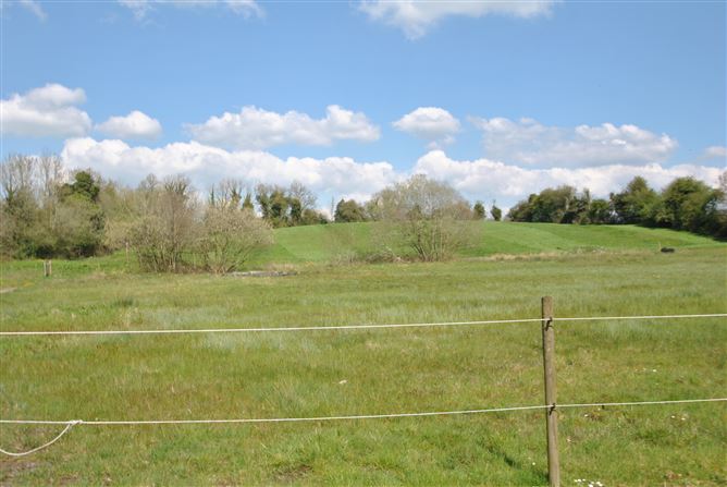 Conicker, Roscrea, Co. Tipperary