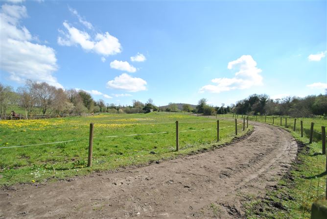 Conicker, Roscrea, Co. Tipperary