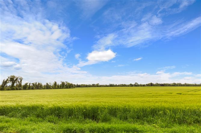 Photo 28 of 29 — Hortland Donadea, Donadea, Kildare