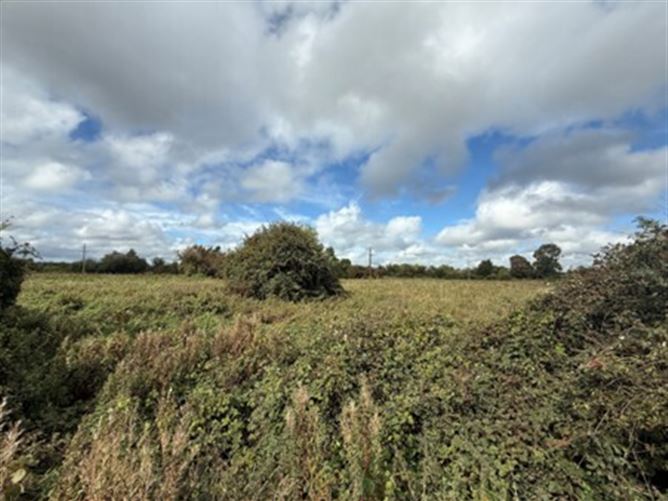 Lullymore Road, Allenwood South, Co. Kildare