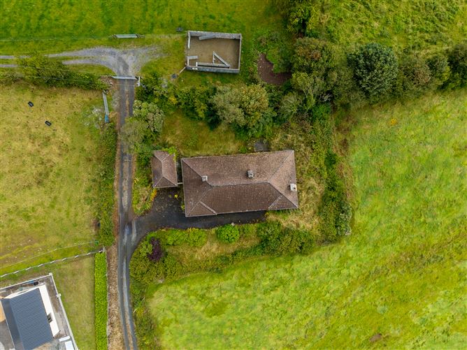 Cunnagher Ross, Castlebar, Mayo