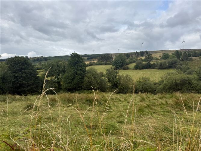 Lands At Lurragh, Ballyfarnon, Co. Roscommon, Folio RN7797F