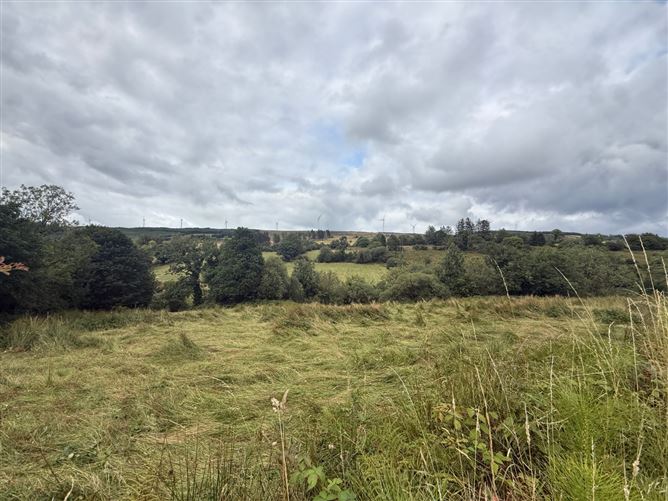 Lands At Lurragh, Ballyfarnon, Co. Roscommon, Folio RN7797F