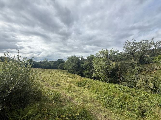 Lands At Lurragh, Ballyfarnon, Co. Roscommon, Folio RN7797F