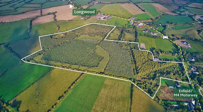 67 Acres Forestry Connellstown, Enfield, Co. Meath