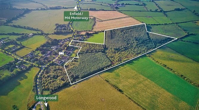 67 Acres Forestry Connellstown, Enfield, Co. Meath