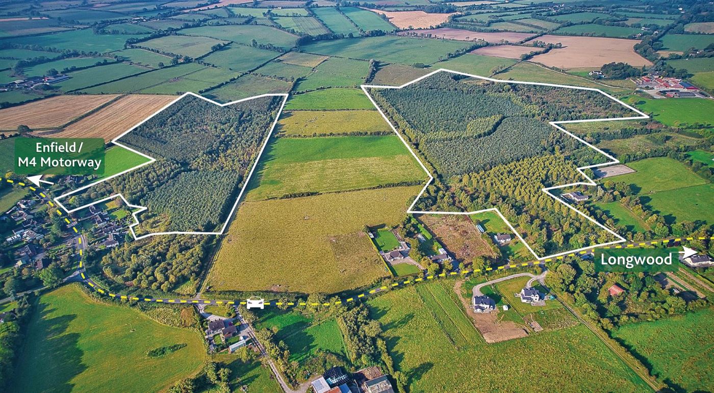 67 Acres Forestry Connellstown, Enfield, Co. Meath
