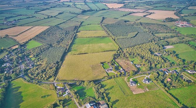 67 Acres Forestry Connellstown, Enfield, Co. Meath