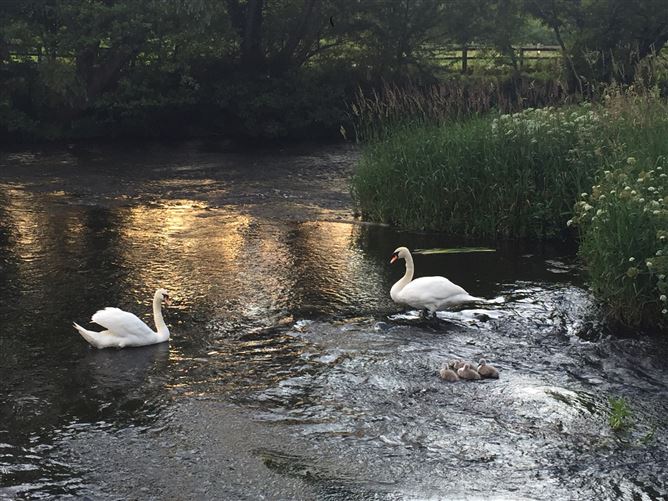 20 Millrace, Kilcullen, Kildare
