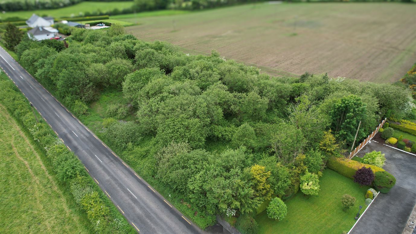 Ballycormick, Mountrath, Laois