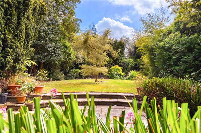 https://photos-a.propertyimages.ie/media/5/6/3/5005365/98d1702f-4d5f-47ef-82a7-42cee58b1eb8_l.jpg