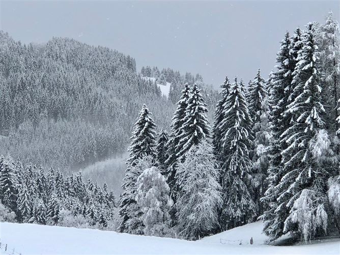 Private, Wölfnitz Griffen, Carinthia