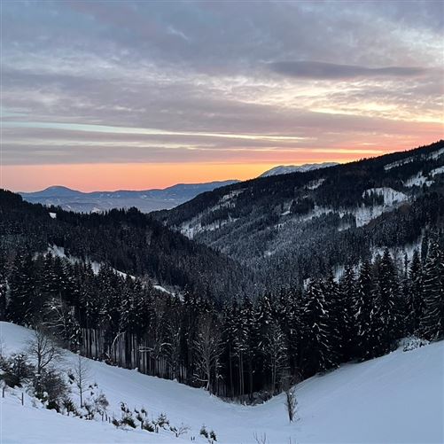 Private, Wölfnitz Griffen, Carinthia