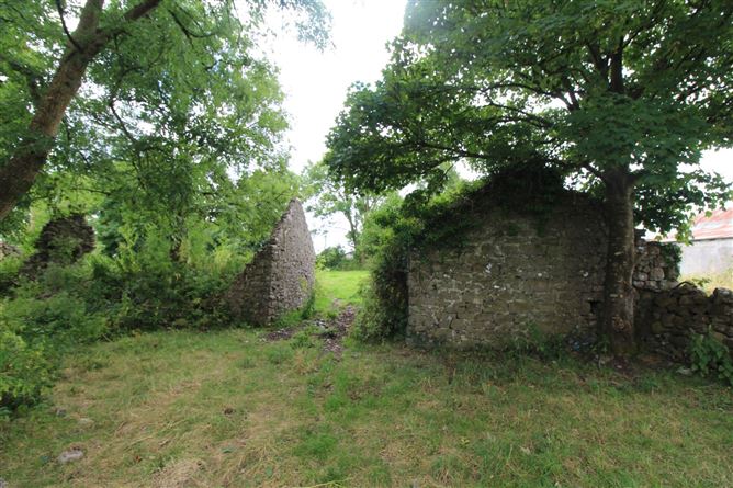 C. 5.04 Acres, Carnagh East, Kiltoom, County Roscommon