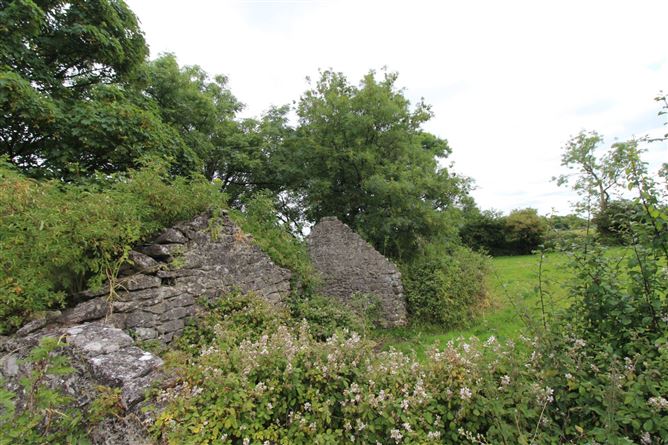 C. 5.04 Acres, Carnagh East, Kiltoom, County Roscommon