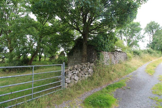 C. 5.04 Acres, Carnagh East, Kiltoom, County Roscommon
