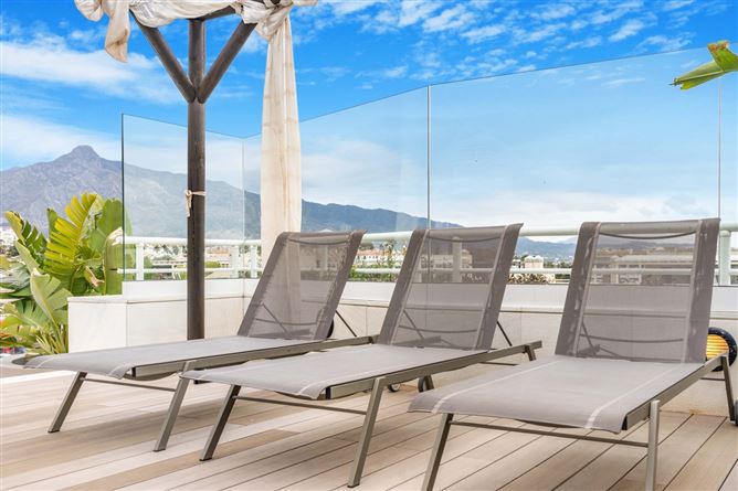 Spain, Marbella, Marbella - Puerto Banus - COSTA-00670P