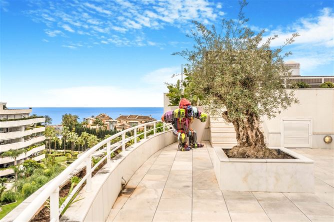 Spain, Marbella, Marbella - Puerto Banus - COSTA-00670P