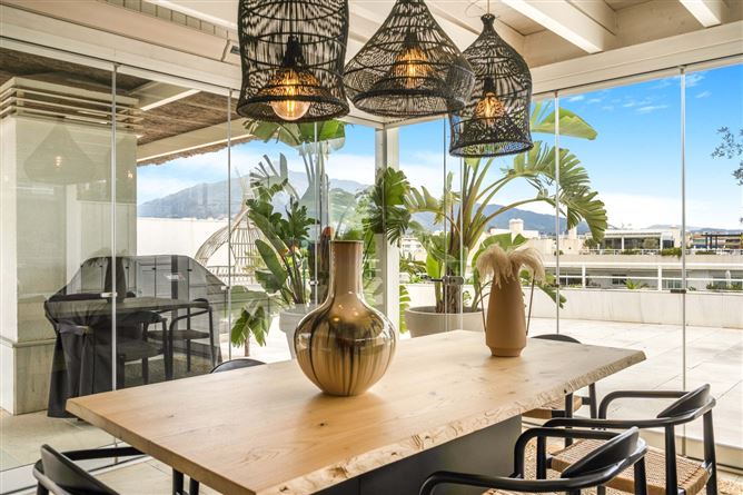 Spain, Marbella, Marbella - Puerto Banus - COSTA-00670P