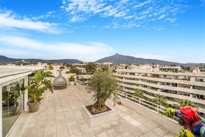 Spain, Marbella, Marbella - Puerto Banus - COSTA-00670P
