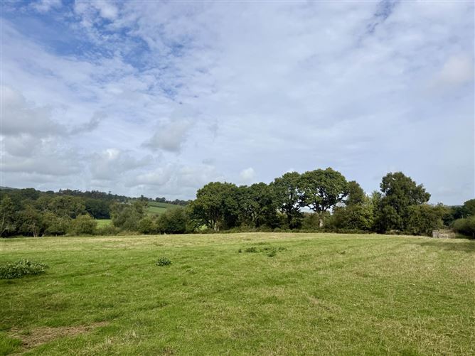 Ballingate (C. 12 Acres), Carnew, County Wicklow