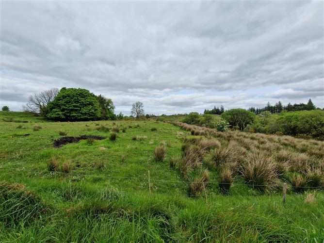 Kilgarriff, Ballyhaunis, Co. Mayo