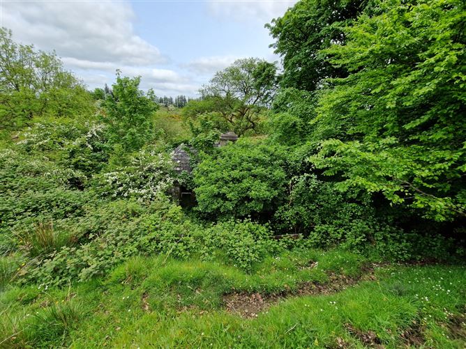 Kilgarriff, Ballyhaunis, Co. Mayo
