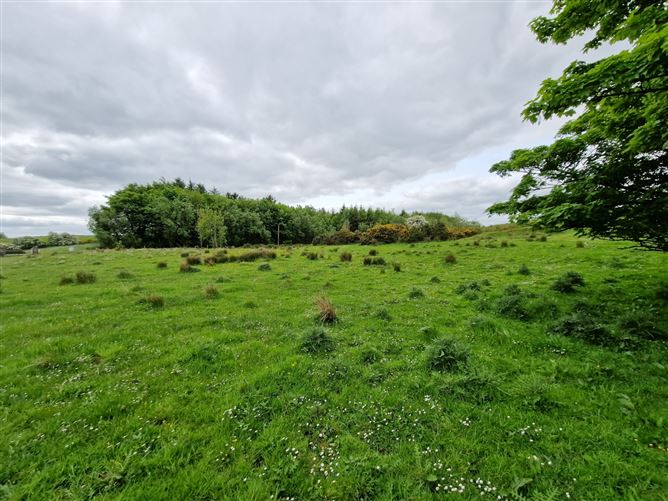 Kilgarriff, Ballyhaunis, Co. Mayo