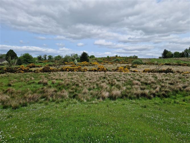 Kilgarriff, Ballyhaunis, Co. Mayo