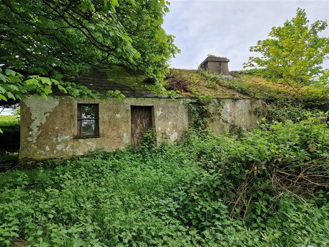 Kilgarriff, Ballyhaunis, Co. Mayo