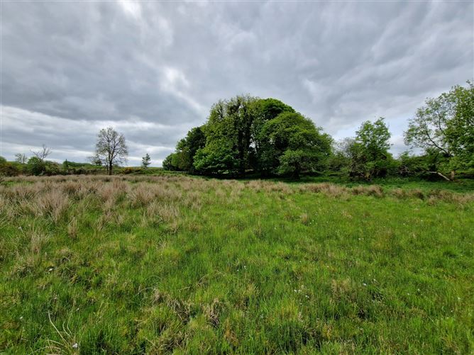 Kilgarriff, Ballyhaunis, Co. Mayo